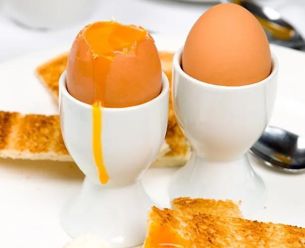 Grinkle Park Hotel Loftus